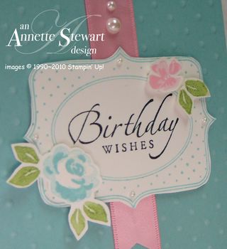 Upclose baby blossoms card